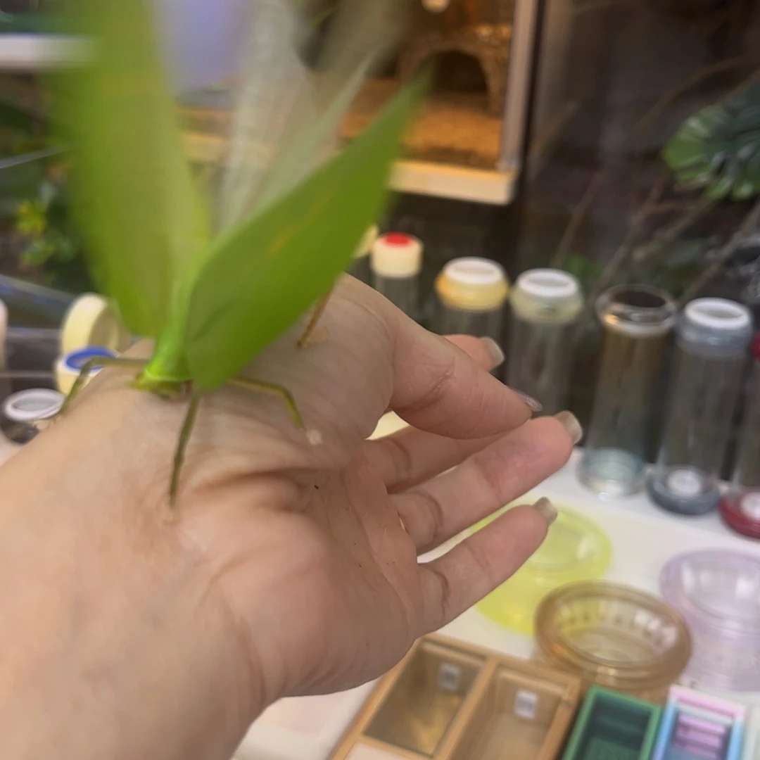 玩***志随单素背拍拍拍拍拍