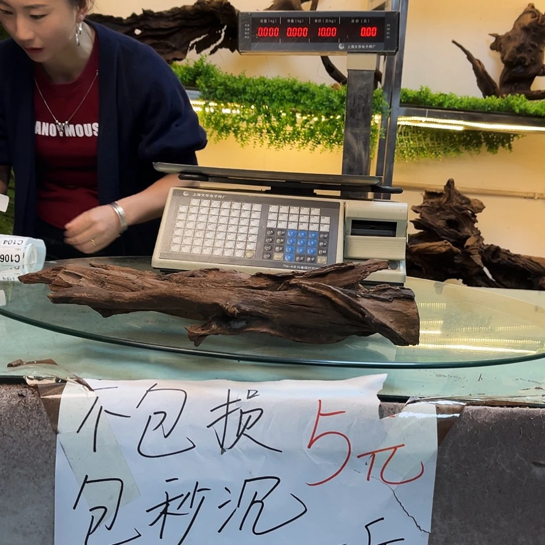 柚木玉***艺沉木鱼缸造景