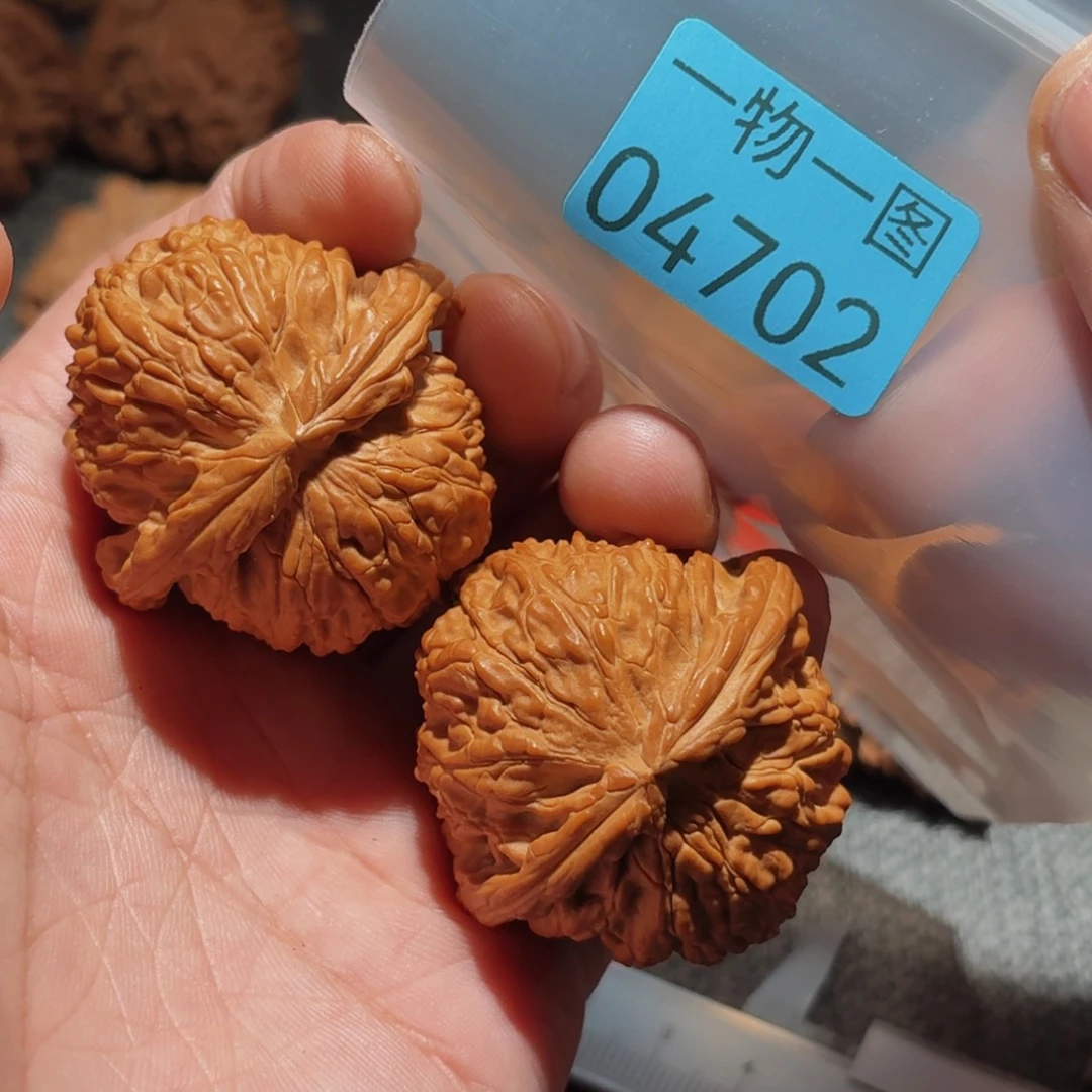 文玩核桃把件白狮子