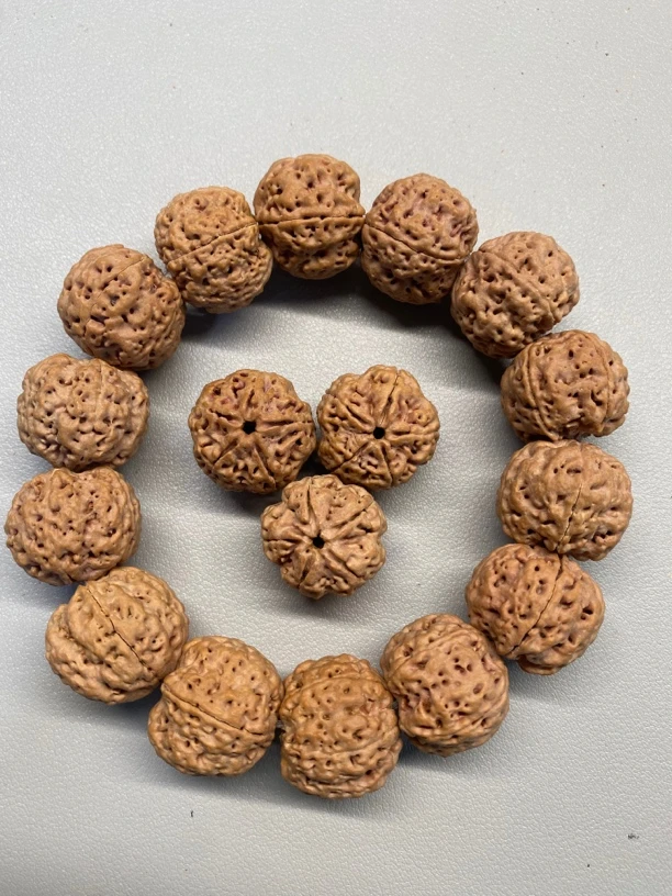 【HG23001】23mm爆肉蜂王尼泊尔金刚菩提手串文玩手串念珠