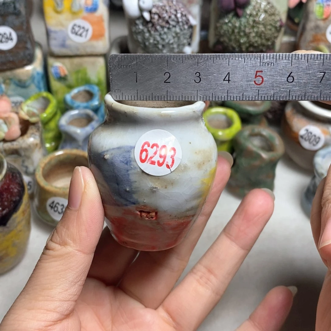 拍5送一个小礼物