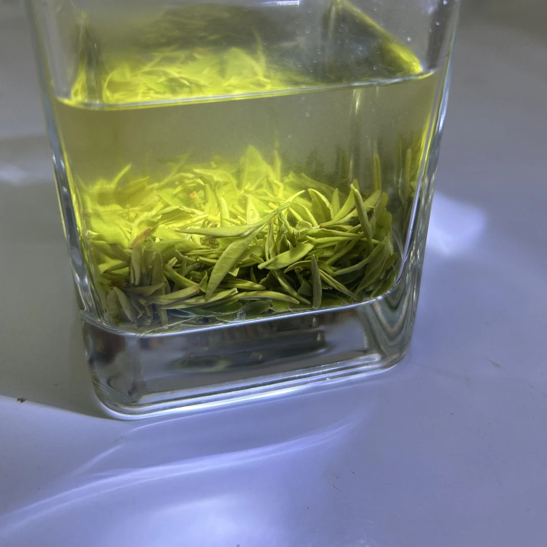 王母观野山茶500清明前芽叶兰花香回甘足