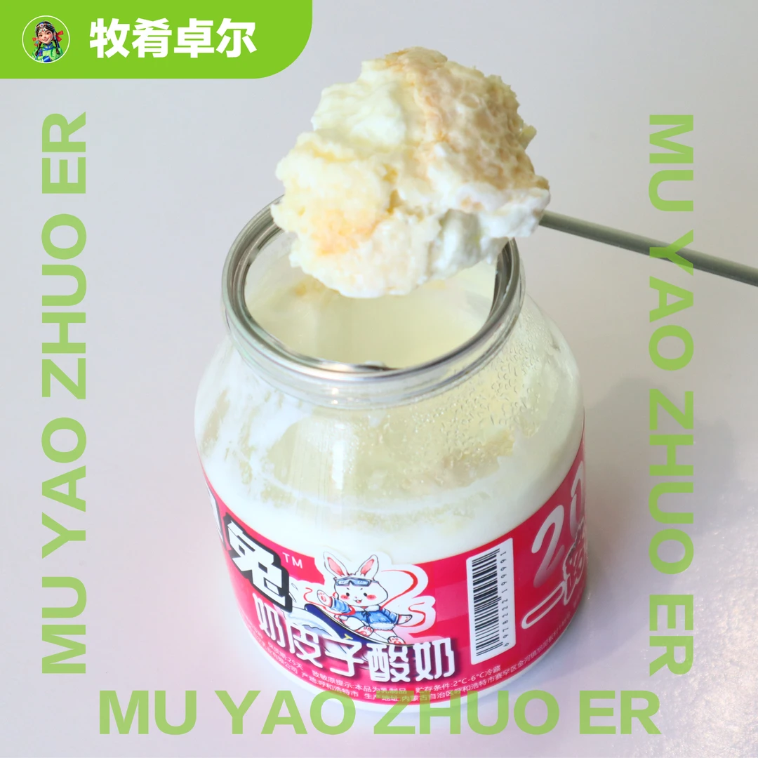 【奶皮子酸奶】内蒙牧民儿时记忆0添加
