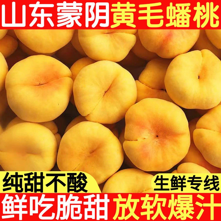 【新品上市亏米尝鲜价】正宗蒙阴黄金毛蟠桃纯甜 现摘现发 自然树熟