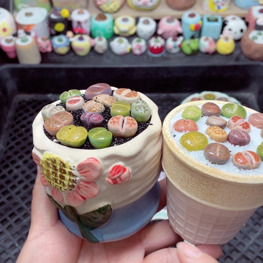 w6086 带盆土发货-零下地区拍保温箱