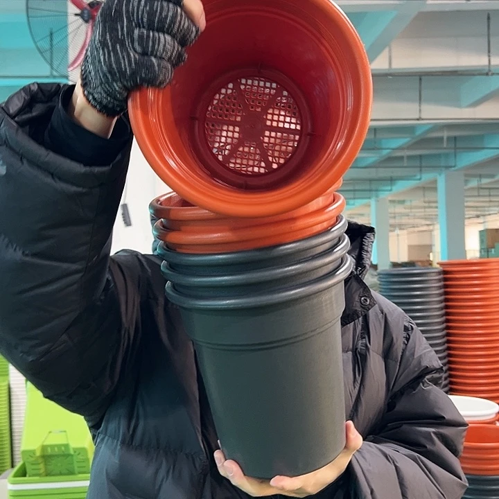 特价翻边口21高22陶红无托6只