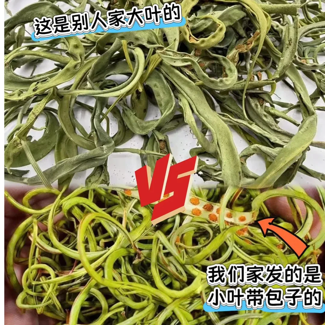 长白山 山货 化石草  泡水泡茶 深山野黄金草 可搭配枸杞