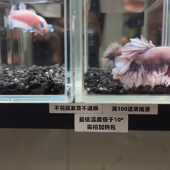 斗鱼竞拍跑单拉黑136+78