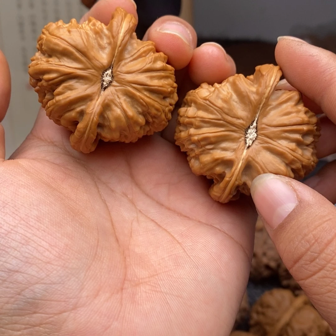 文玩核桃把件43白狮子