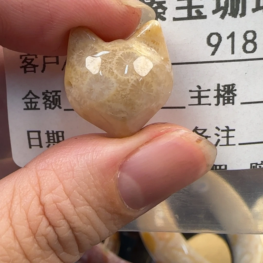 硅化珊瑚（珊瑚玉）未镶嵌颈饰