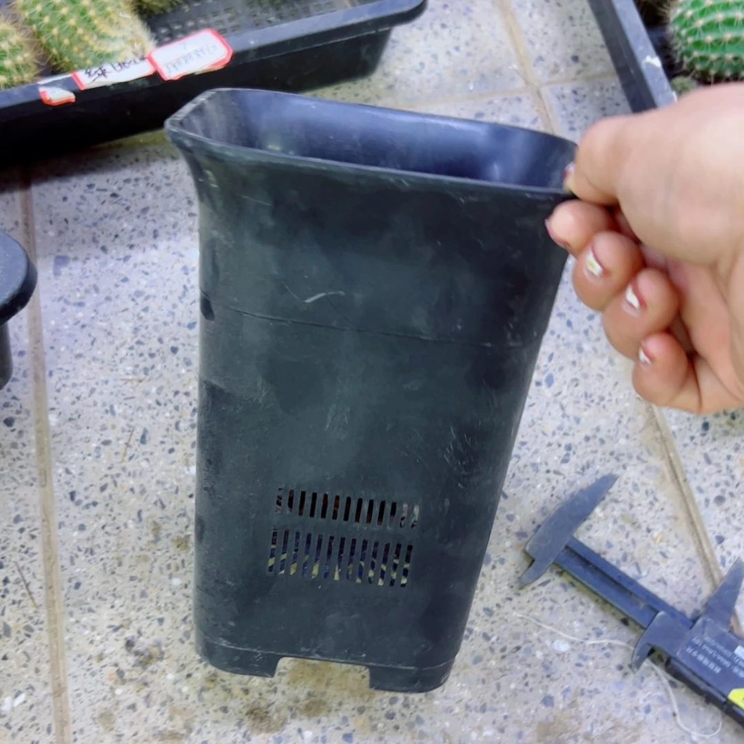 下82大黑万象口径15高20无托盘20包邮