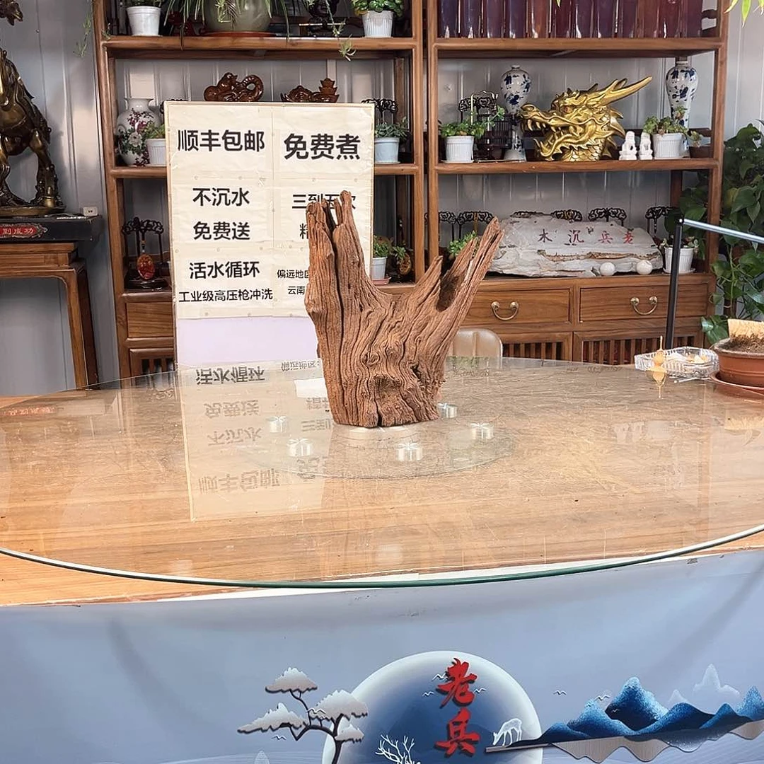 紫砂茶盏用****4一木成景