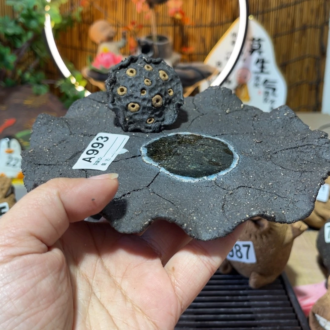 木村信弘柴烧保平