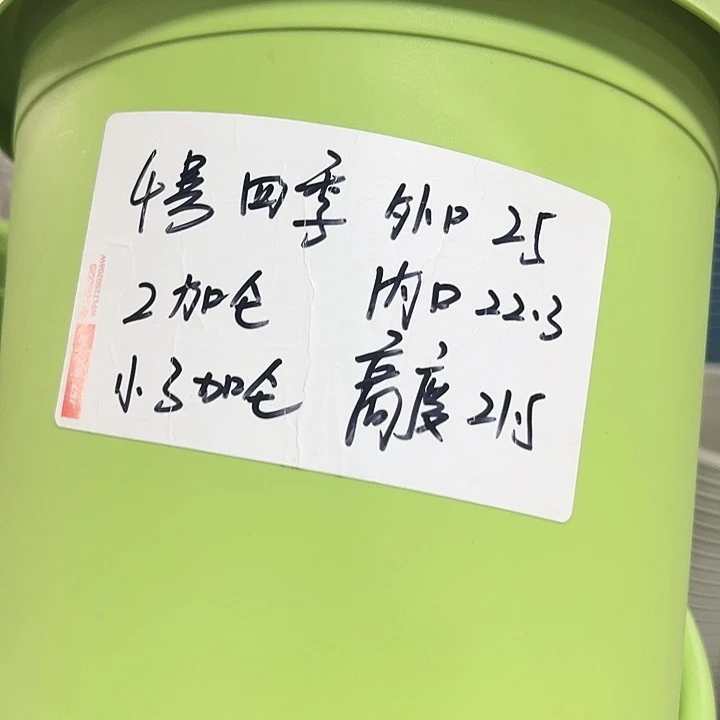 特价4号四季口25高21.5果绿带托8只