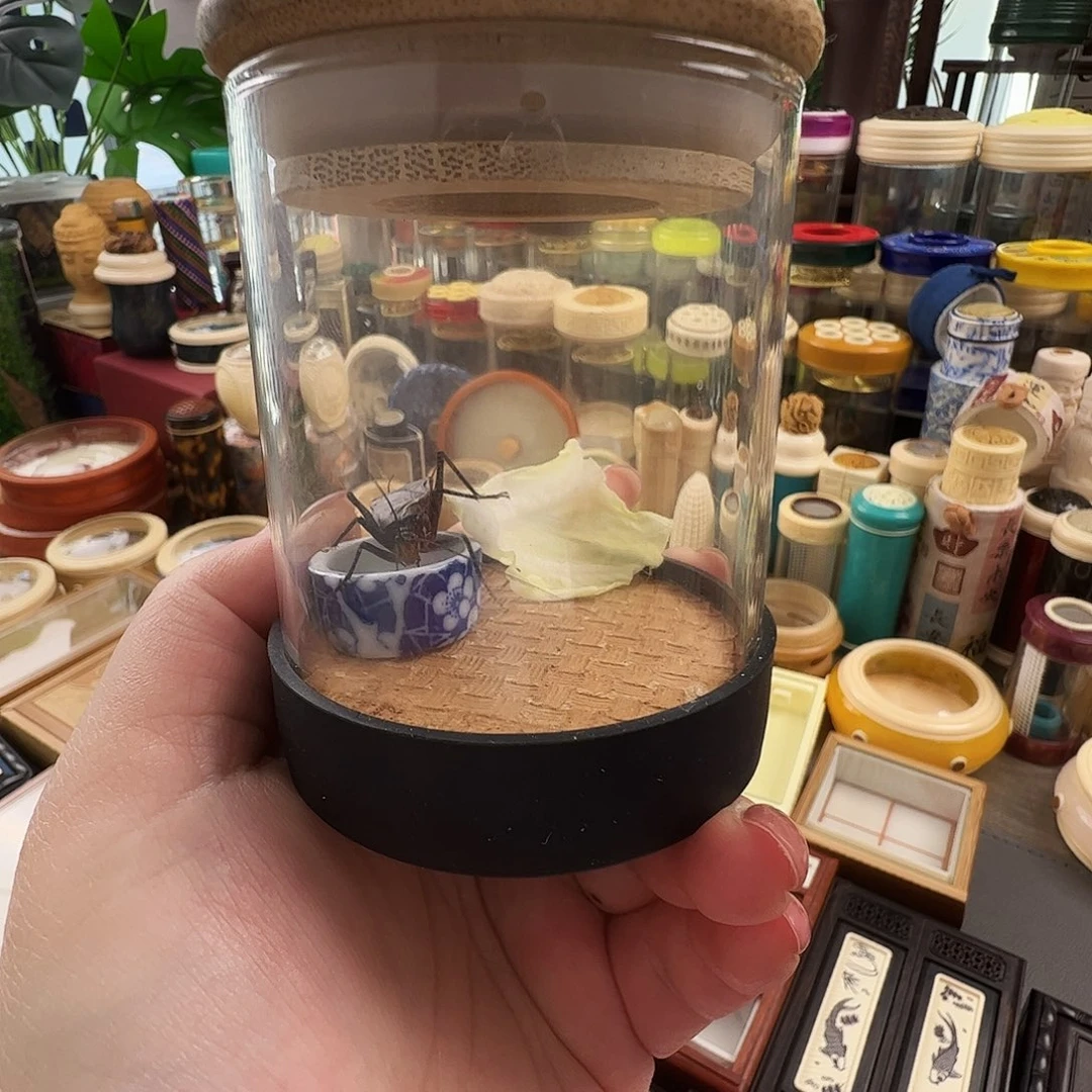 生态罐➕麒麟一个一只