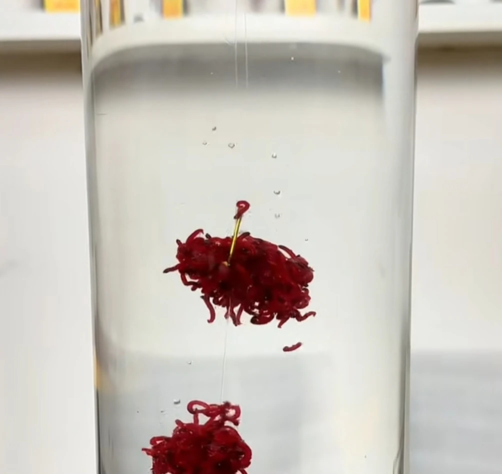 红虫伴侣状态拉鱼饵垂钓饵料状态粉钓鱼雾化好红虫粉深水可用