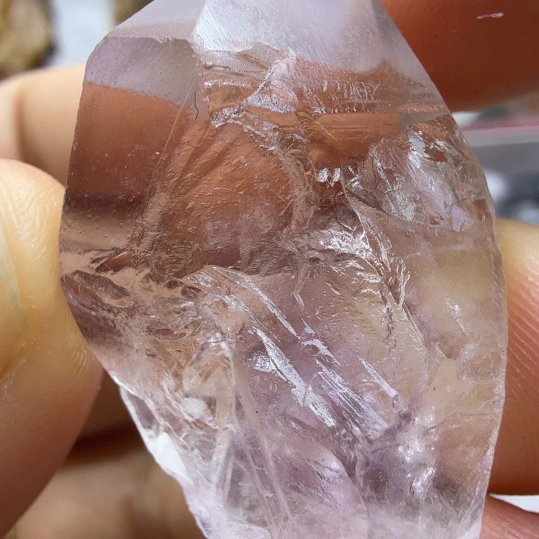 石材薰衣草冰雪紫骸骨