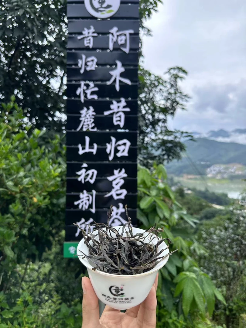 冰岛南迫散茶（阿木茗茶）【传承昔归.生态标杆.】通用临时链接