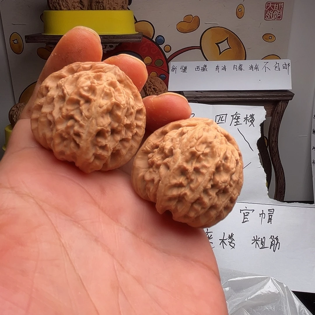 张老三的白狮子38