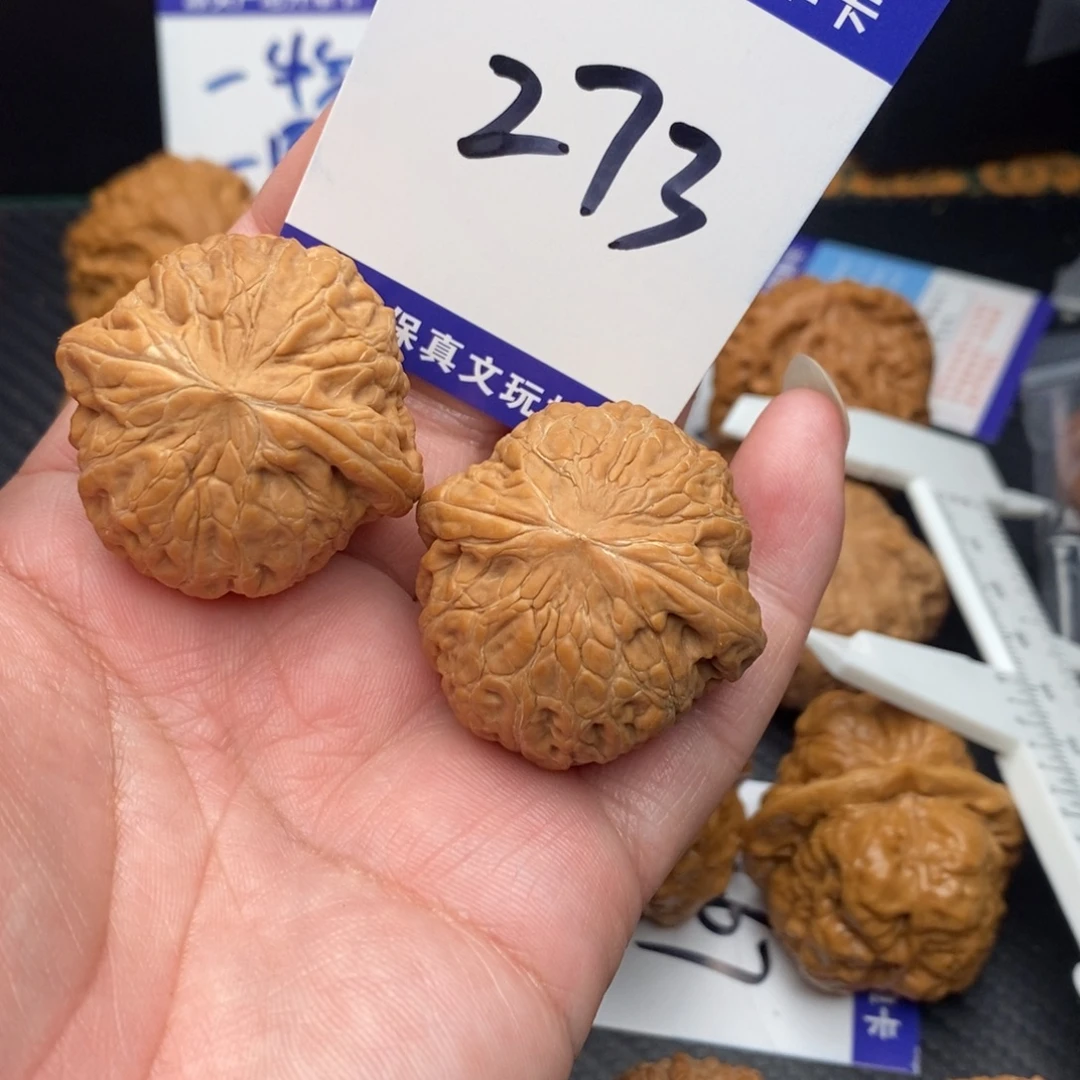 核桃铁锤妹妹37全