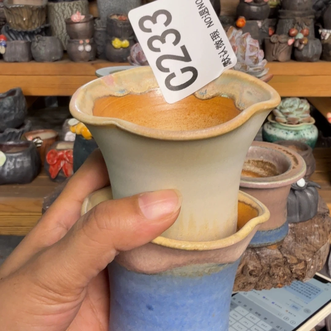 重庆小燕子欢迎大家233