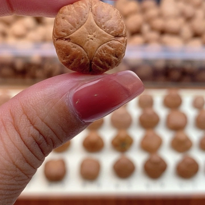 吊坠凤眼菩提麒麟