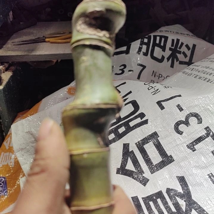 猴***ꪝ发发发发发发发发发