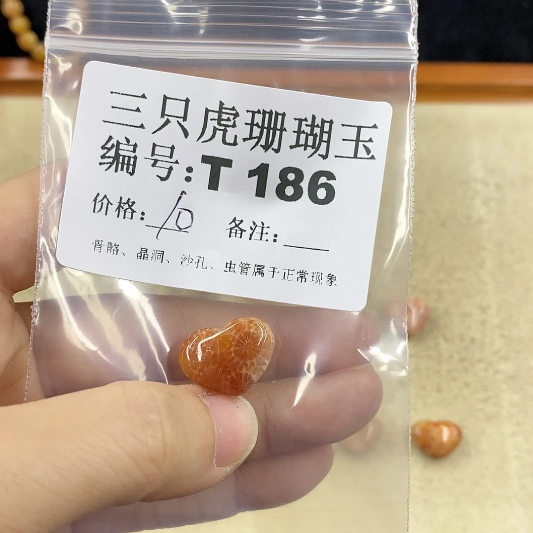 硅化珊瑚（珊瑚玉）1未镶嵌初**蛰