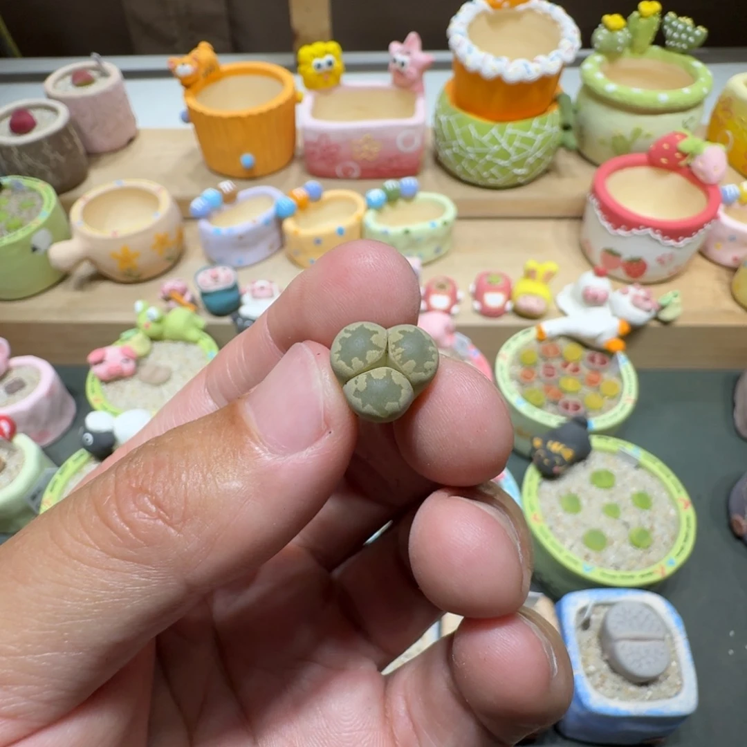 ?****?蘑菇242大牙奔驰