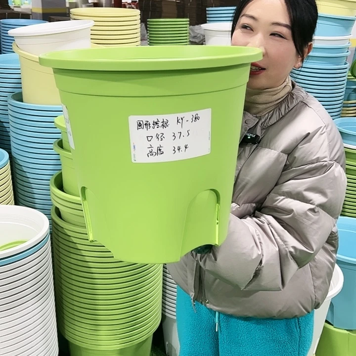 正品圆控口37.5高39.8果绿5只无托
