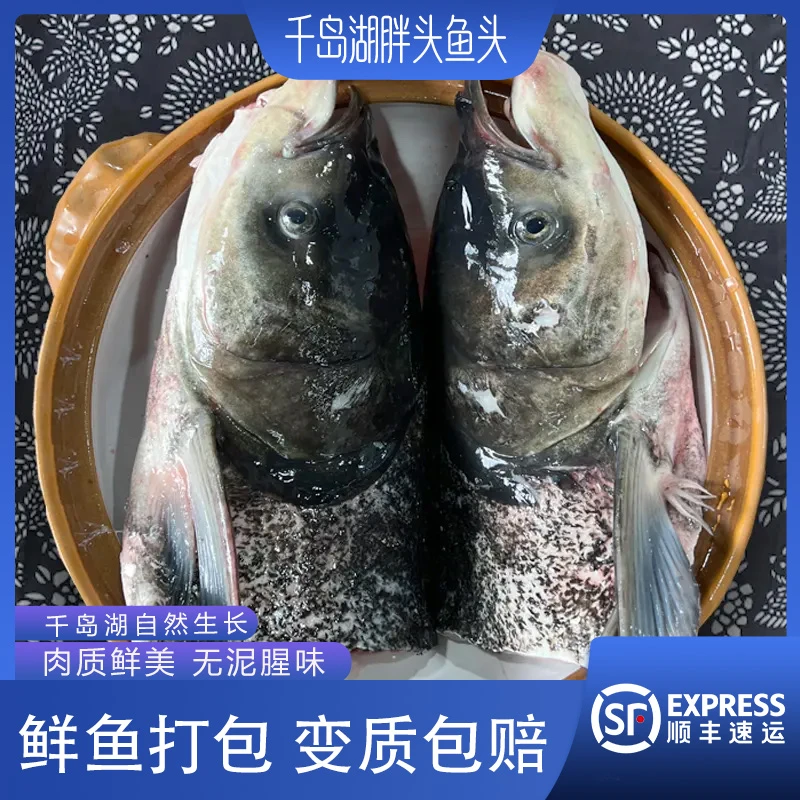 千岛湖千岛湖淳牌胖头鱼现杀鱼头半个去鳃去鳞净重2.5-3.5斤炸鱼