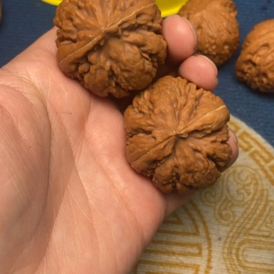 文玩核桃吊坠霸王龙