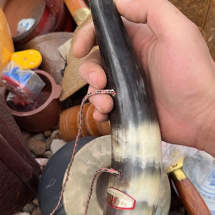 核桃木/黑胡桃（胡桃木）上****殖