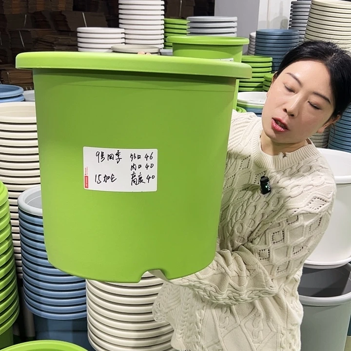 特价9号四季口46高40白色4只无托