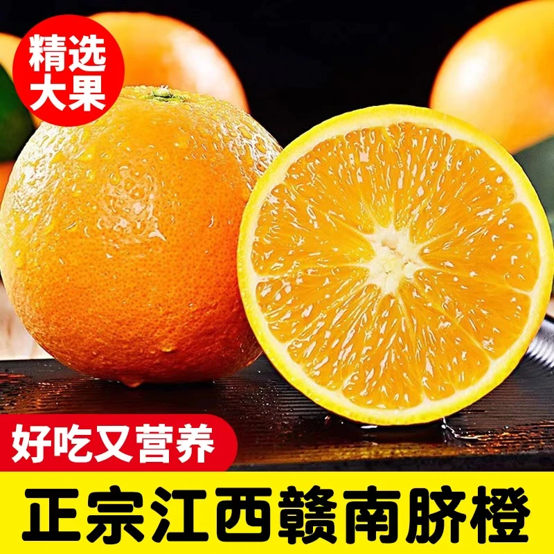 【可试吃3颗】25年头茬脐橙产地直发多仓发货，邱祗