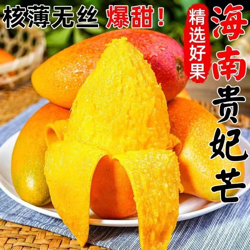 【小燕子专属】海南贵妃芒新鲜采摘应季鲜果现货包邮