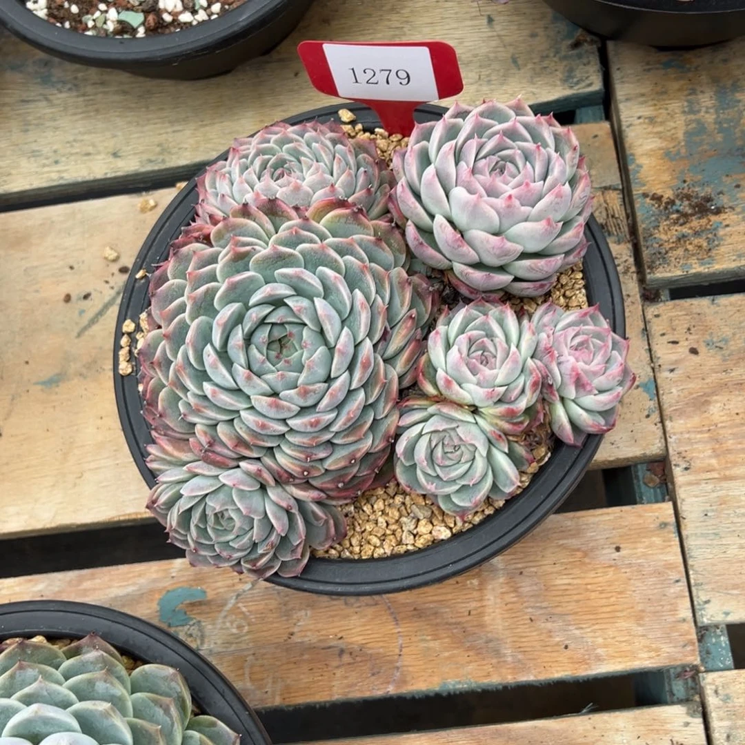 h****21279肉多哦多么多哦多哦