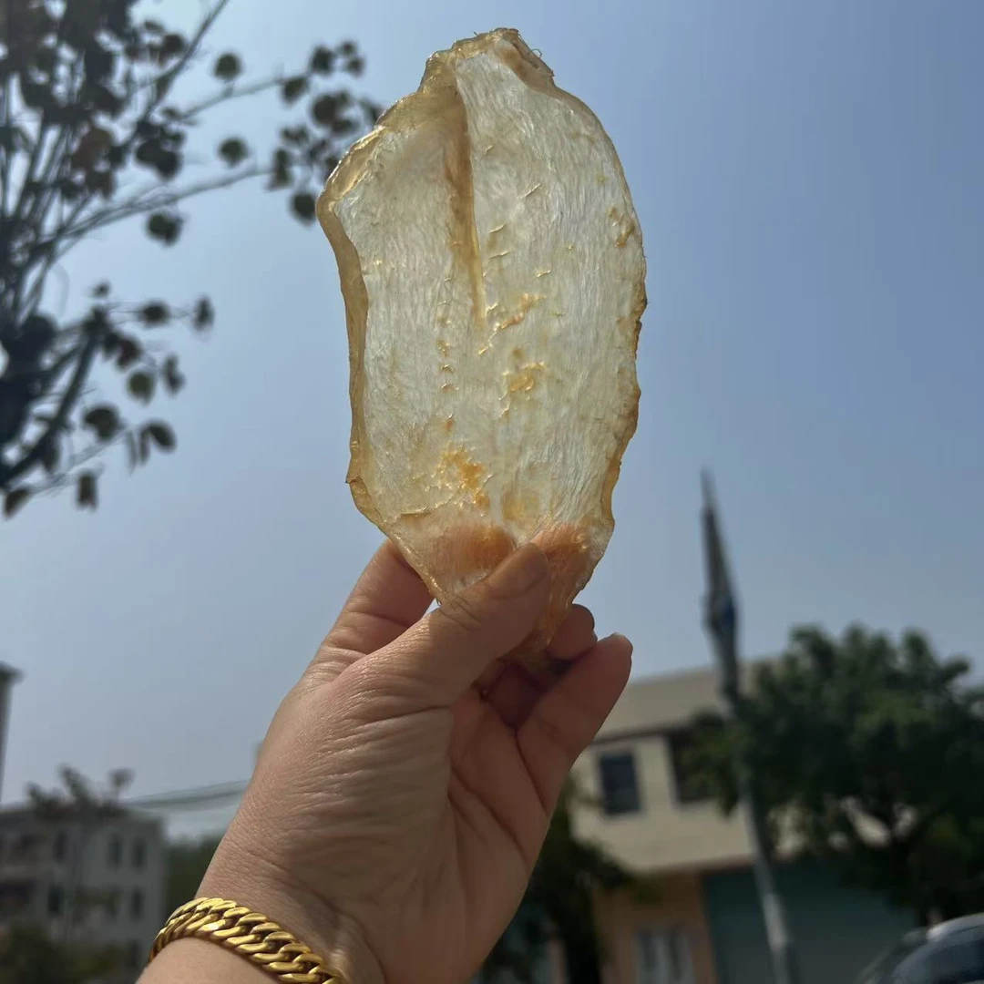 15头老斗湖公胶花胶日常煲汤送礼好物好吃不贵没有腥味