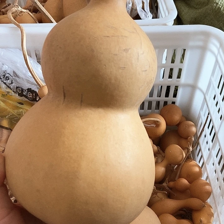 郭大涵宝子恭喜发财