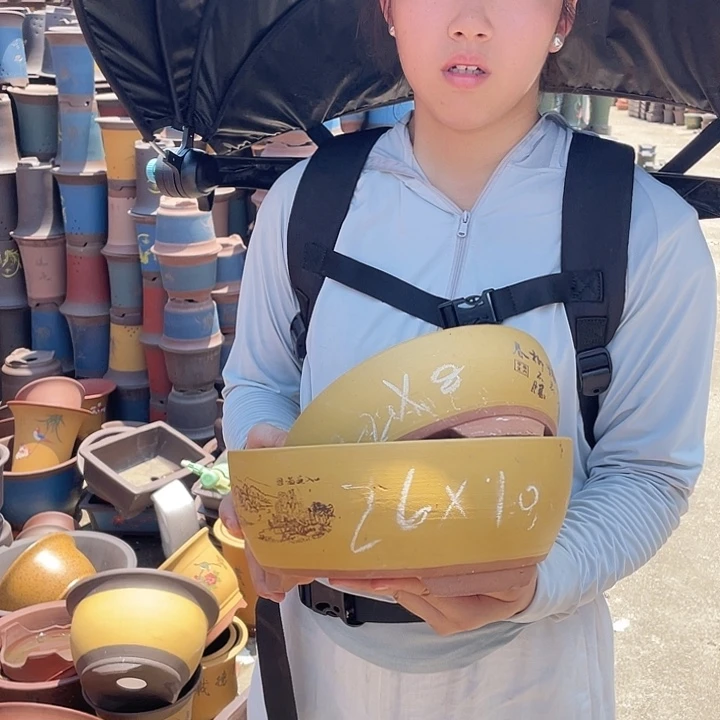 黄色江山如画中小一对花盆