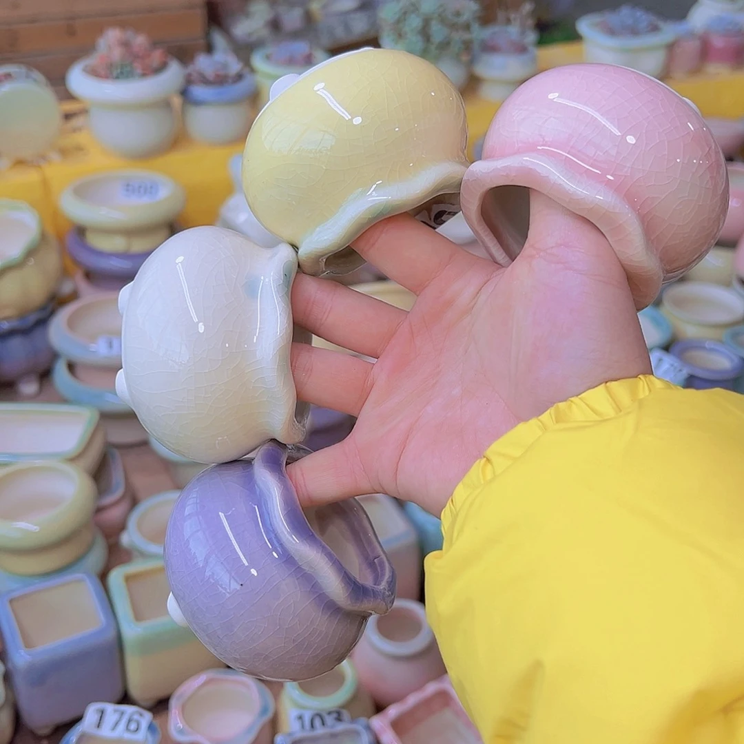 红陶陶瓷花盆当场12包邮