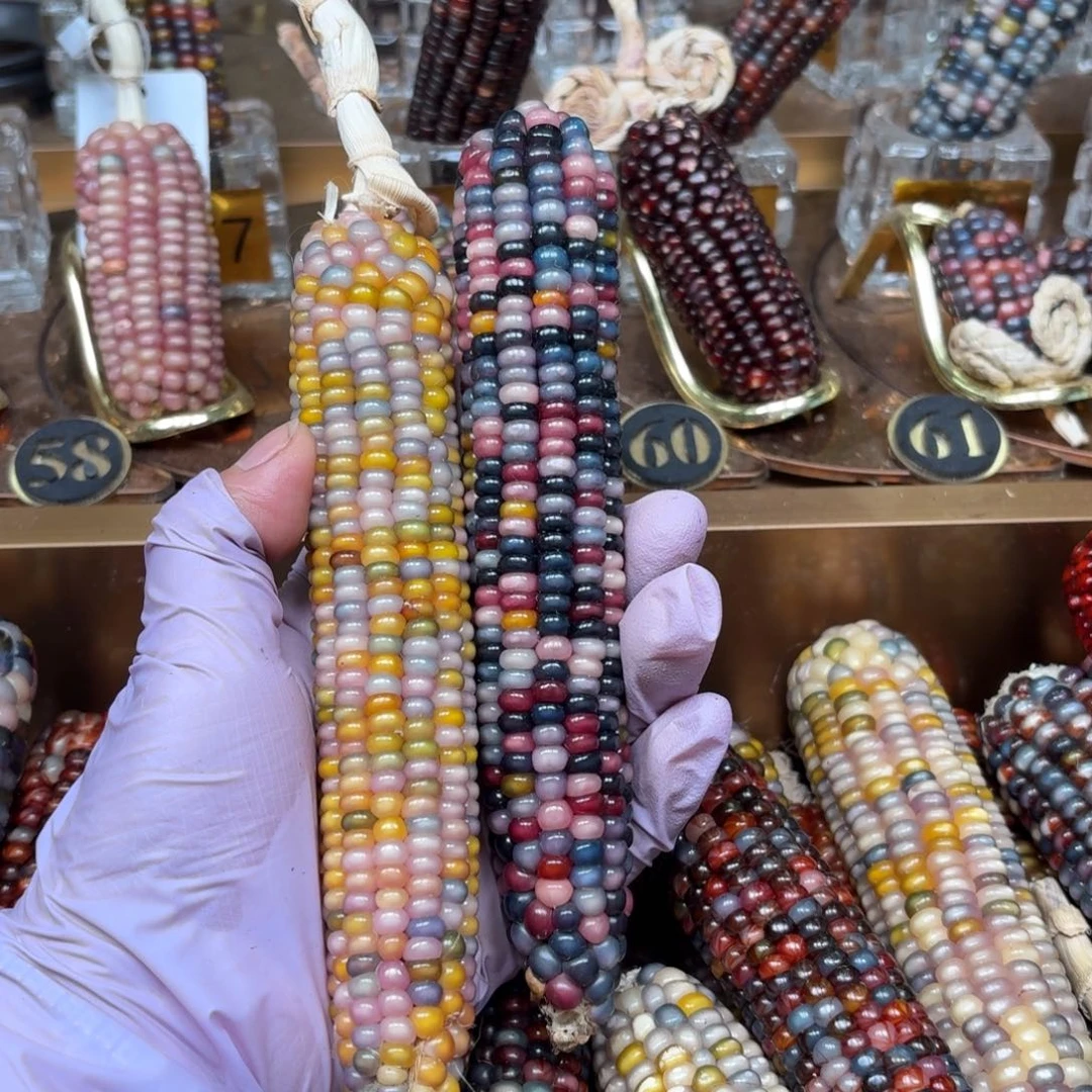 柏香籽/百香籽吊坠小**儿