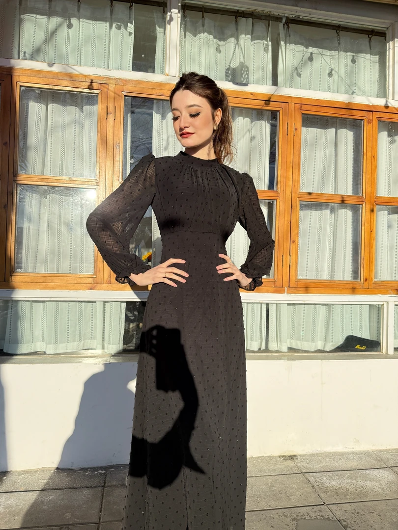 FARGIZ 2025 新款长袖2025女春秋轻奢高级感收腰气质减龄A字裙