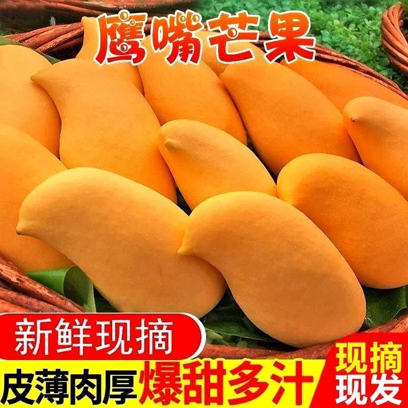 【新品上市】正宗高原鹰嘴芒当季新鲜水果芒果批发非澳芒台农金煌芒