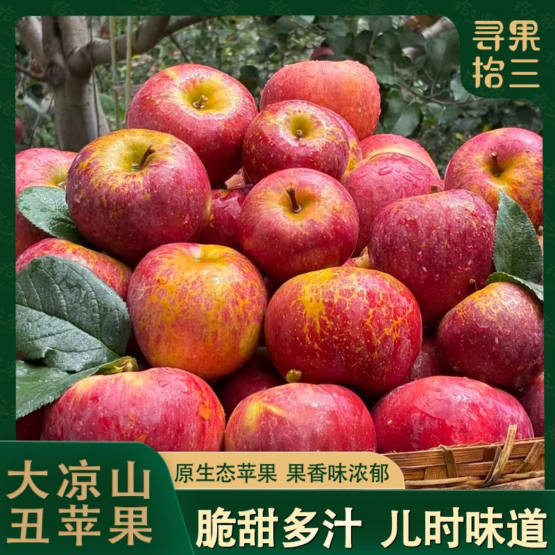 【优级品】2025年头茬新鲜四川大凉山盐源冰糖丑苹果 脆甜好吃 现摘