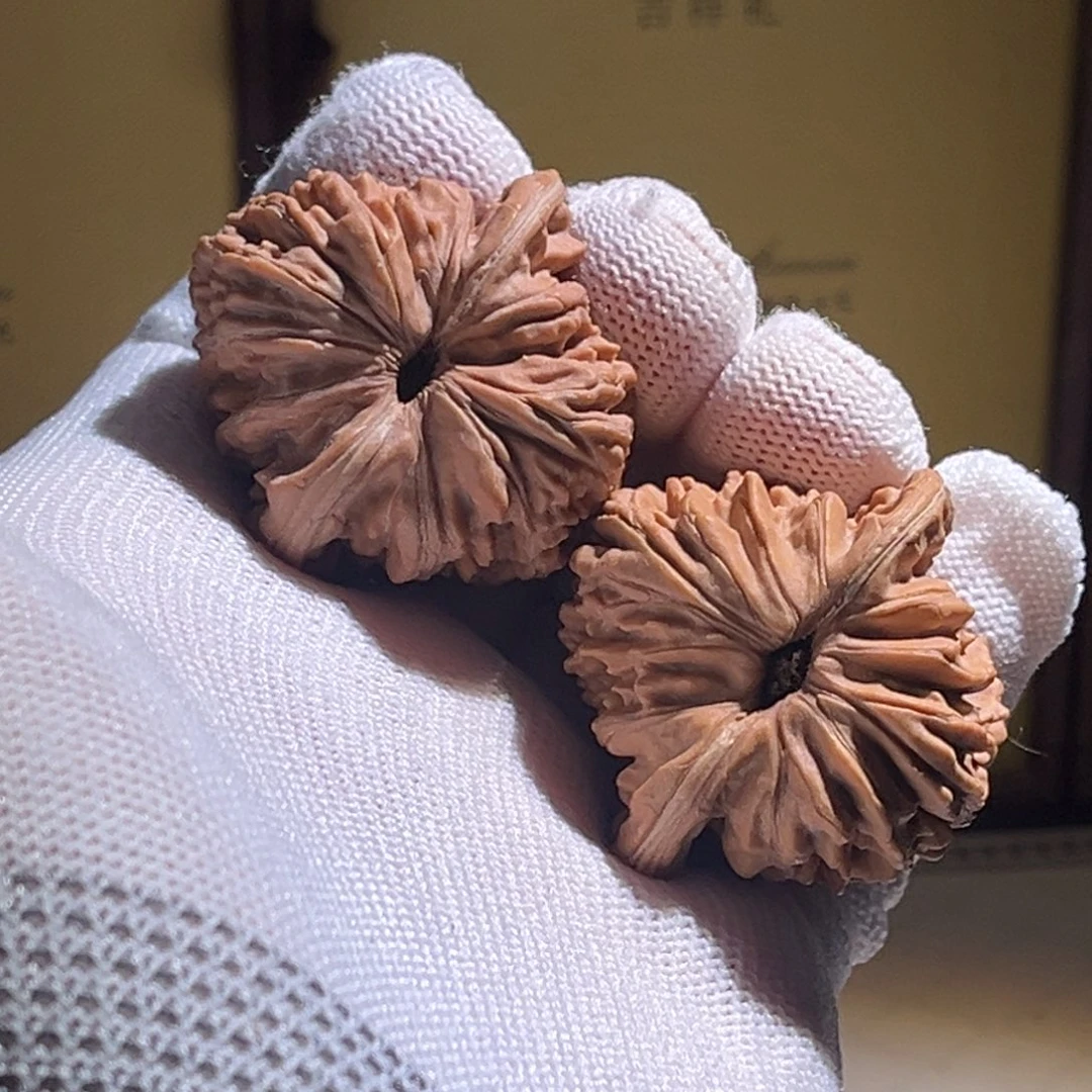 秋***三全品 41楼子。全品。