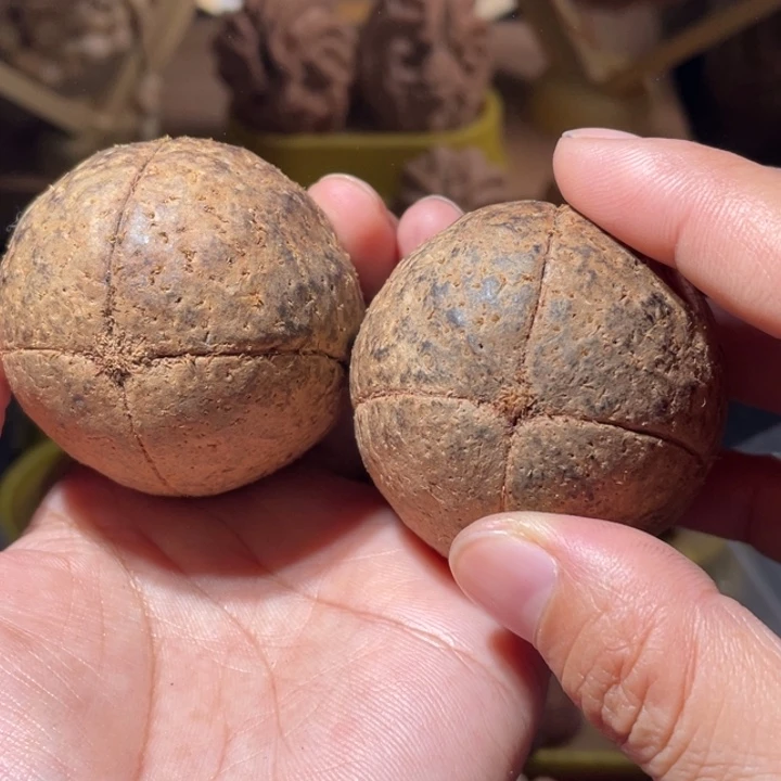 吊坠桃核四瓣无相金刚菩提59.9