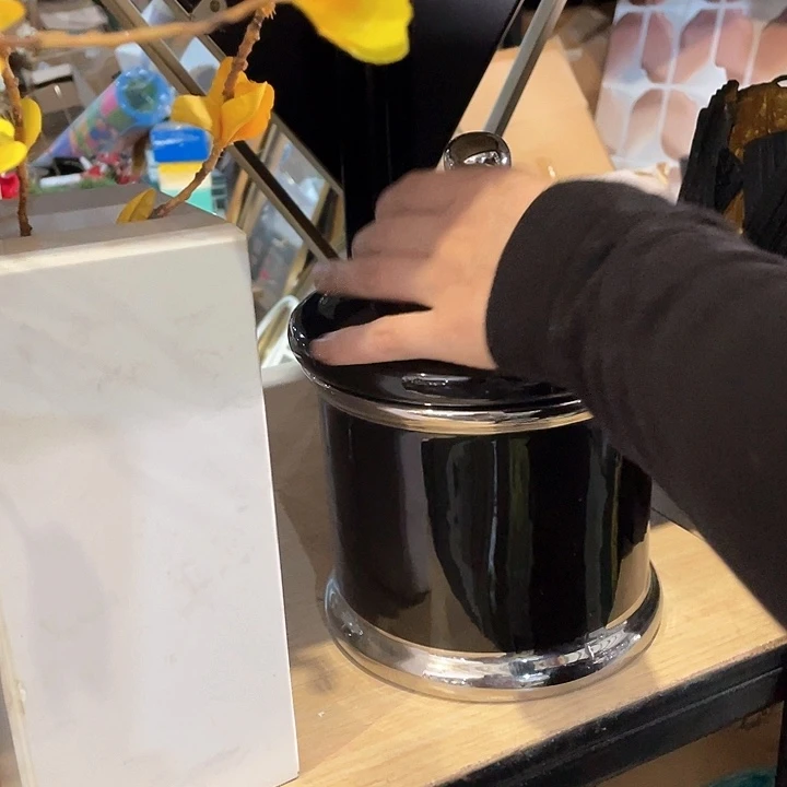 陶瓷花瓶。 绿植。