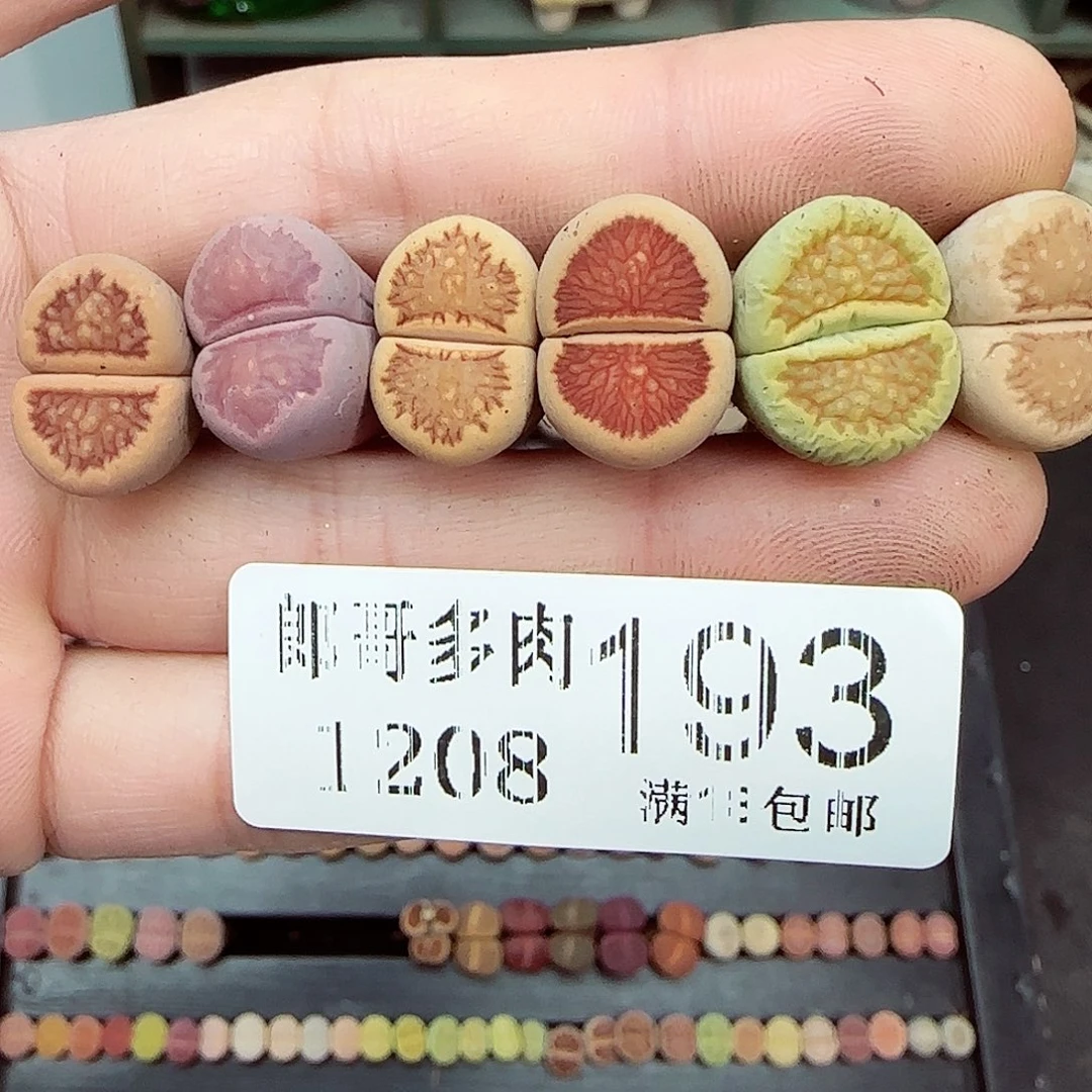 满满18包邮1208-193