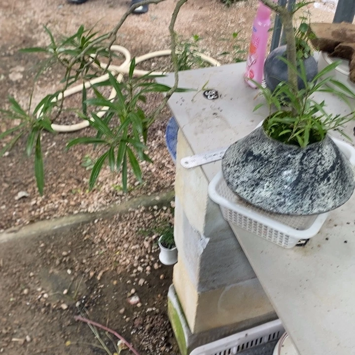 平***静以实际为准退款拉黑拉黑46
